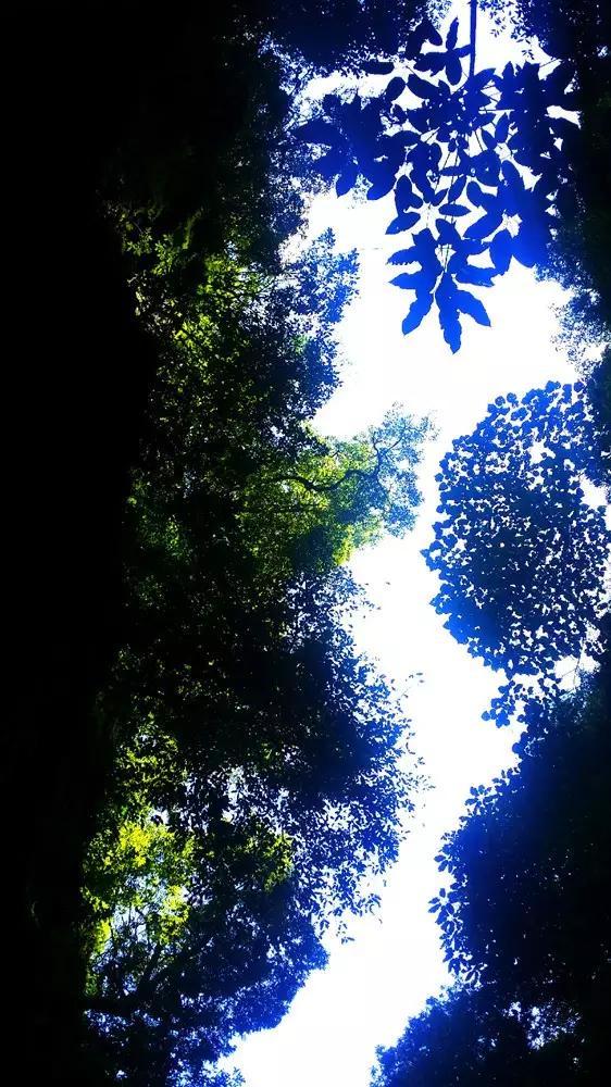绝地求生坦克版